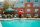 The Governor mascot next to a swimming pool
